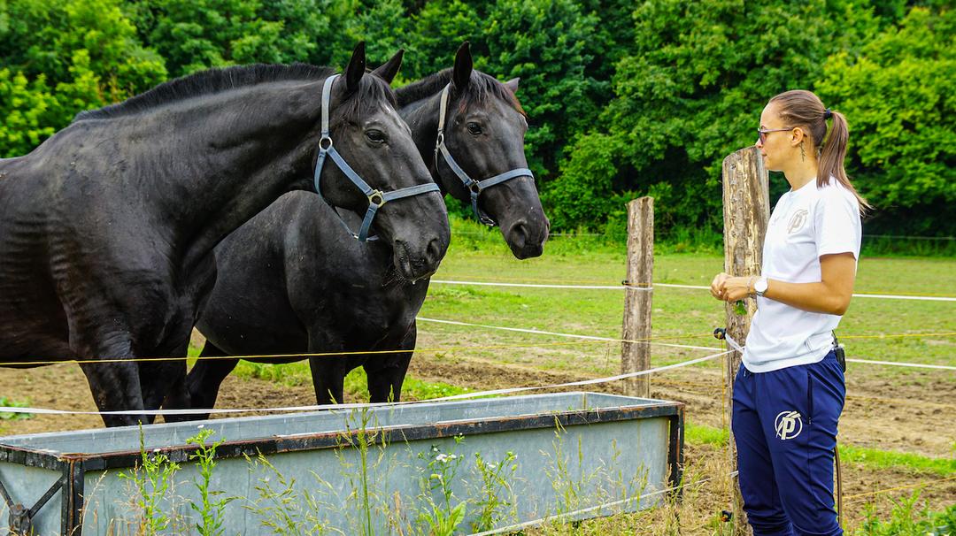 Image of Előzetes a legújabb Puskás Magazinhoz