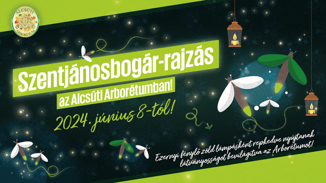 Image of Szentjánosbogár-rajzás az Alcsúti Arborétumban