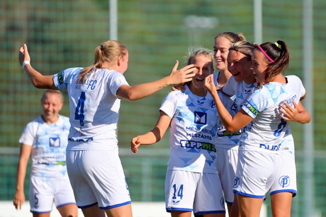 Image of Simple Liga: Féltucat a Sorinak