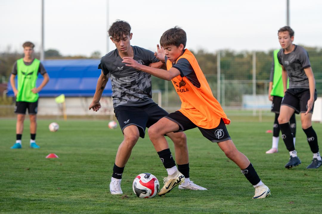 Image of Utánpótlás: Ez vár ránk a héten