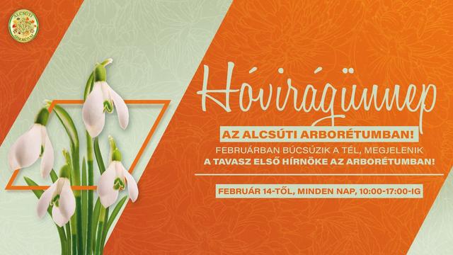 Image of Hóvirágünnep az Alcsúti Arborétumban