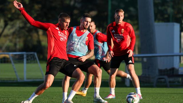 Image of „Valószínűleg kezdeni fogok” - videó