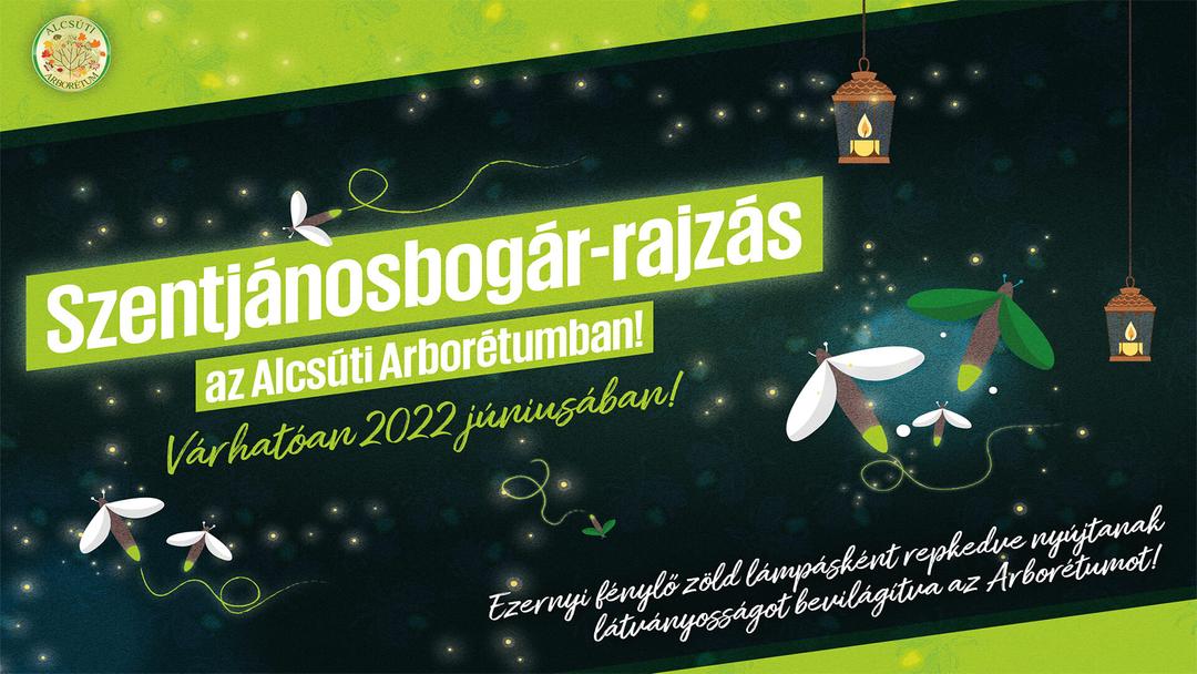 Image of Séta a szentjánosbogarak fényében