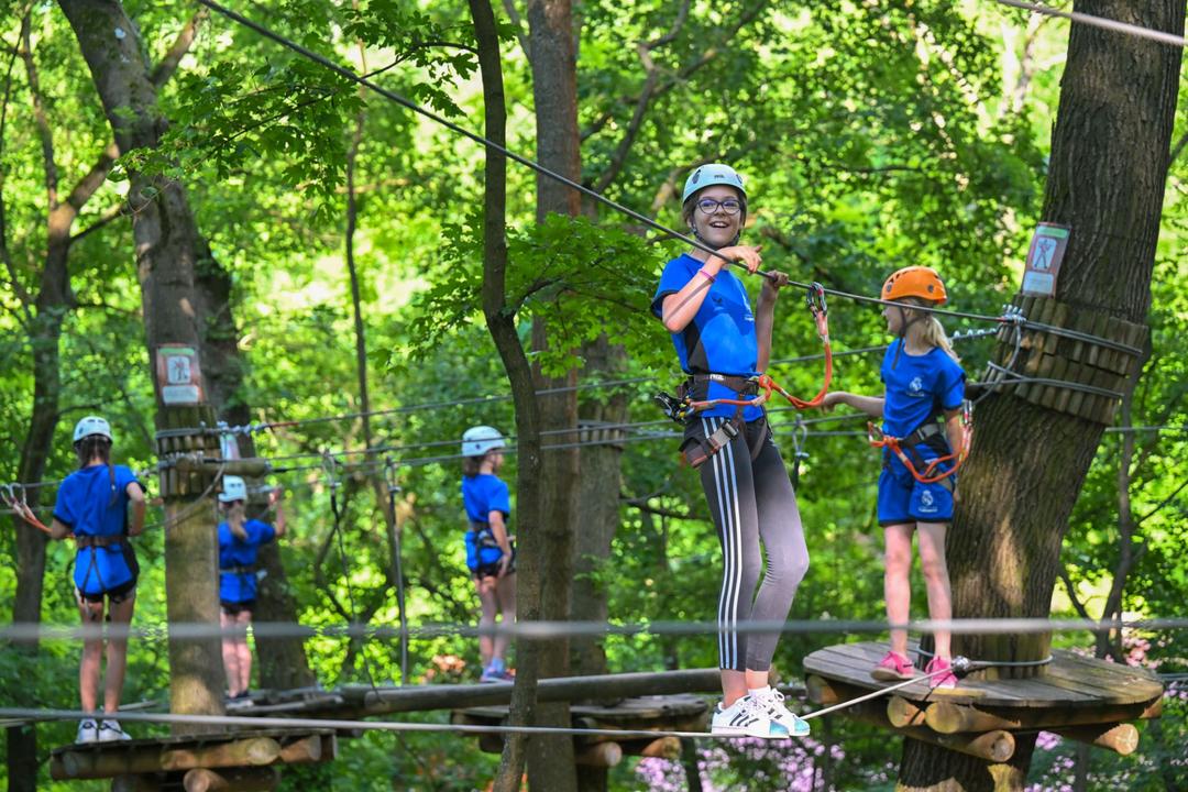 Image of Kalandoraink a kőrisek égisze alatt