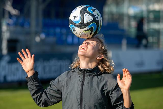 Image of Vágtázó „CsodaSzarvas” 