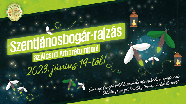 Image of Séta a mécsbogarak fényében