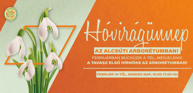 Image of Hóvirágünnep az arborétumban