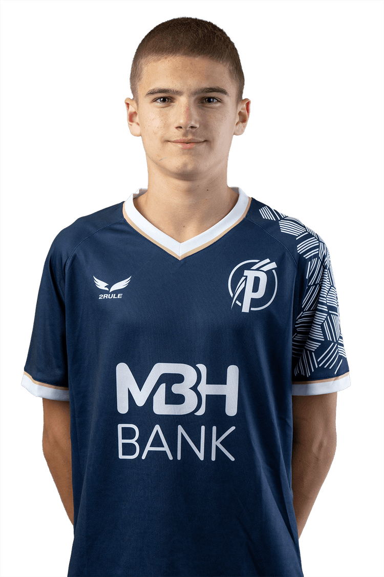 Image of Bányai Mihály