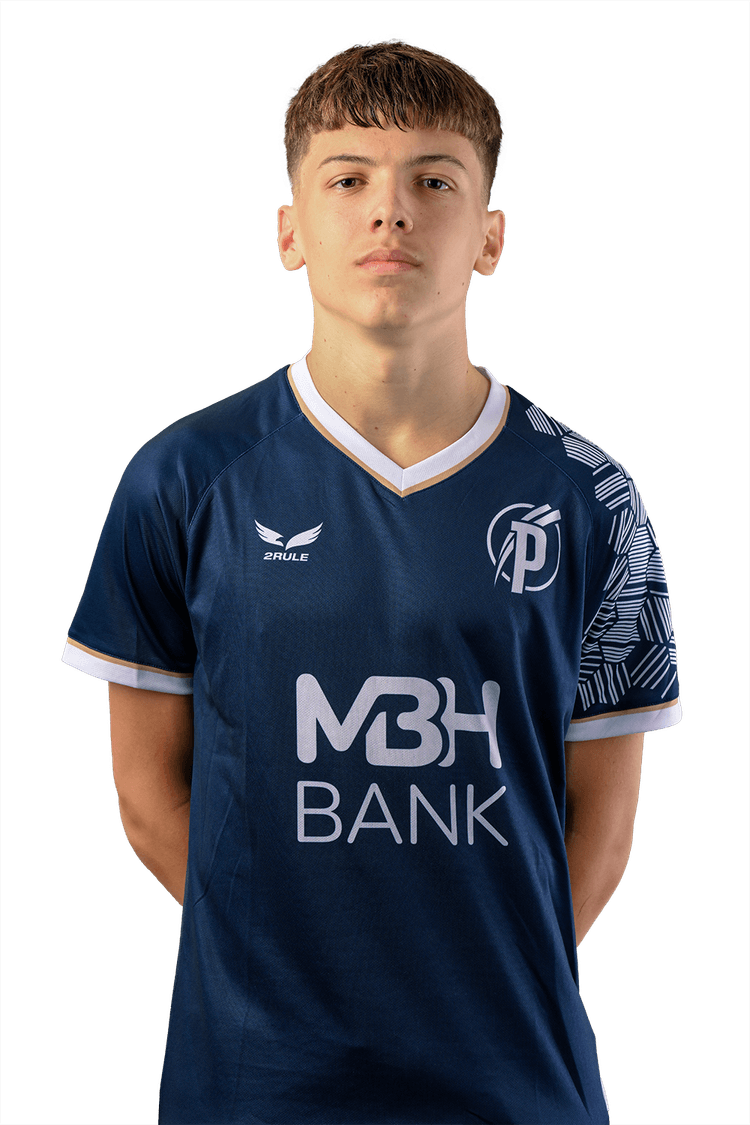 Image of Moldován Máté