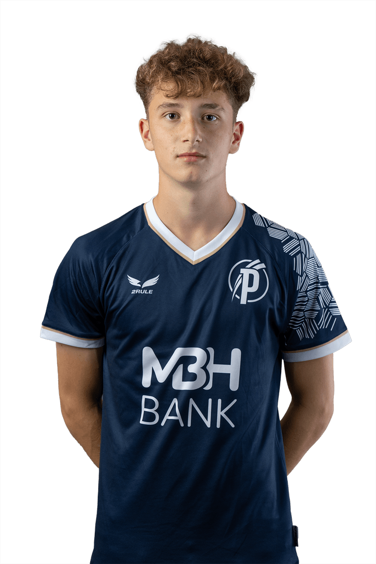 Image of Gecse  Nimród