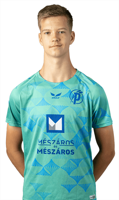 Image of Berényi Zalán