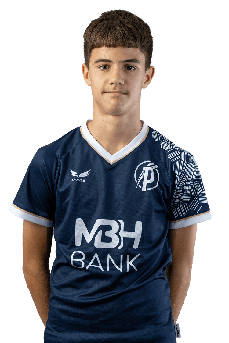 Image of Bajkó Miklós