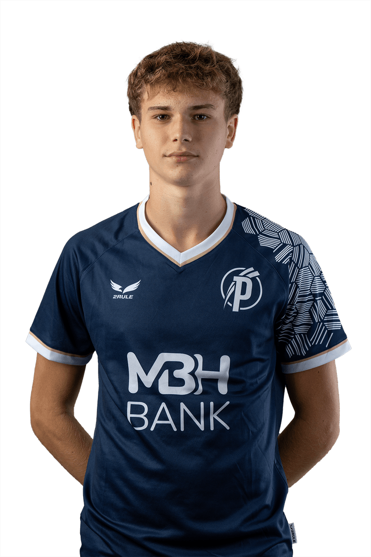 Image of Gusztej Vaszil