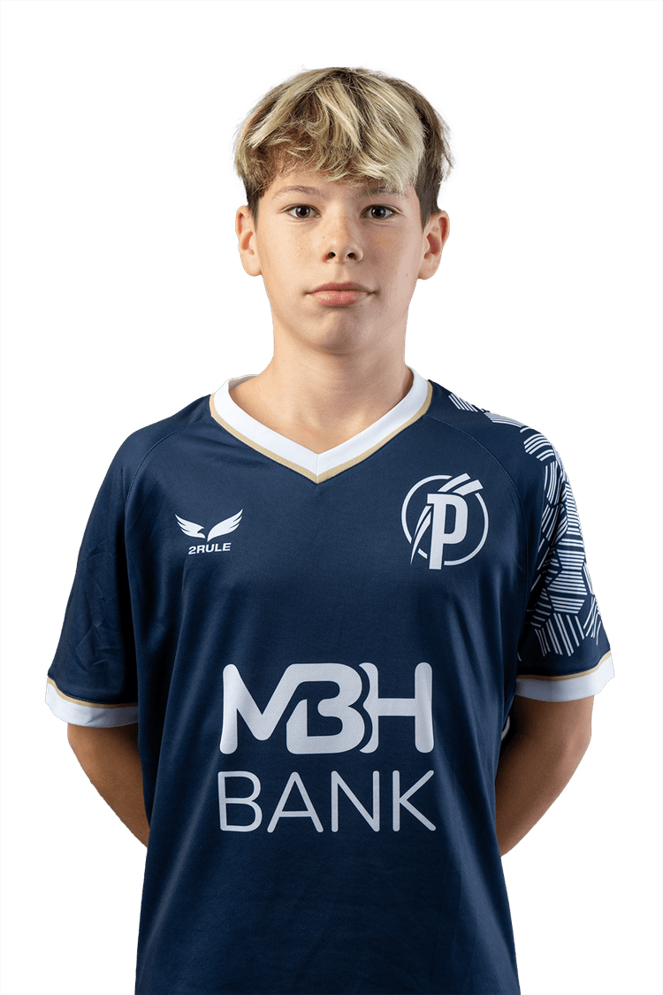 Image of Gál Alexander