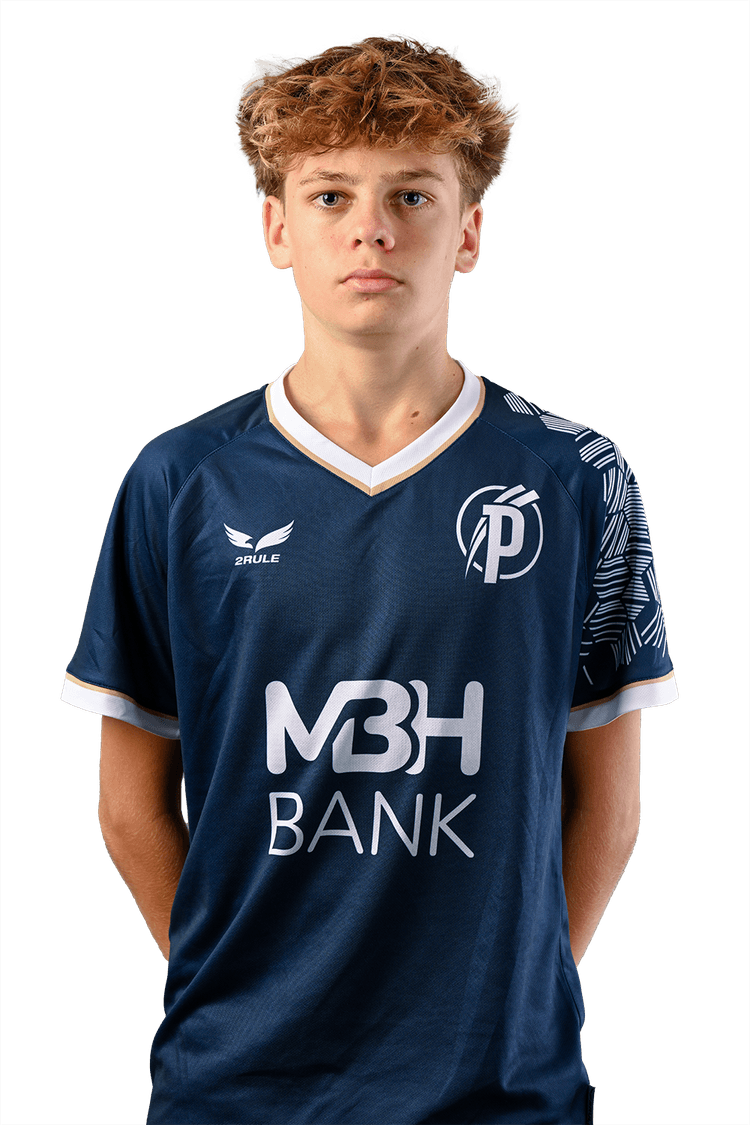 Image of Papp  Kálmán