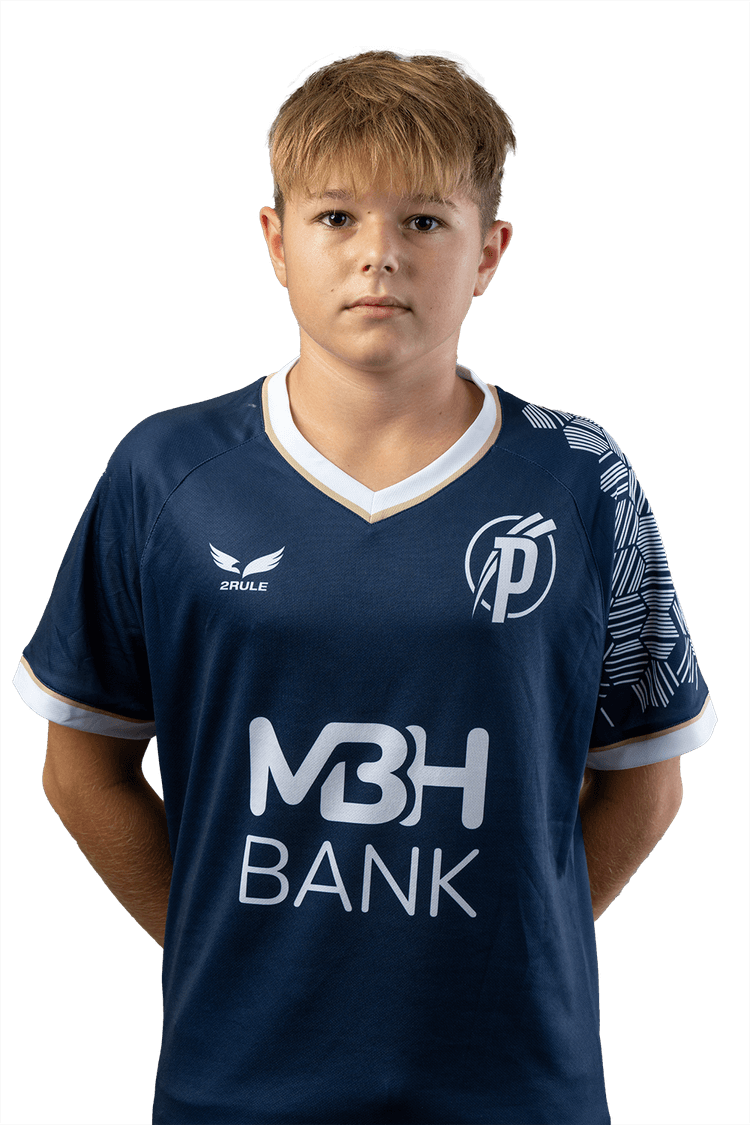 Image of Pizur Martin