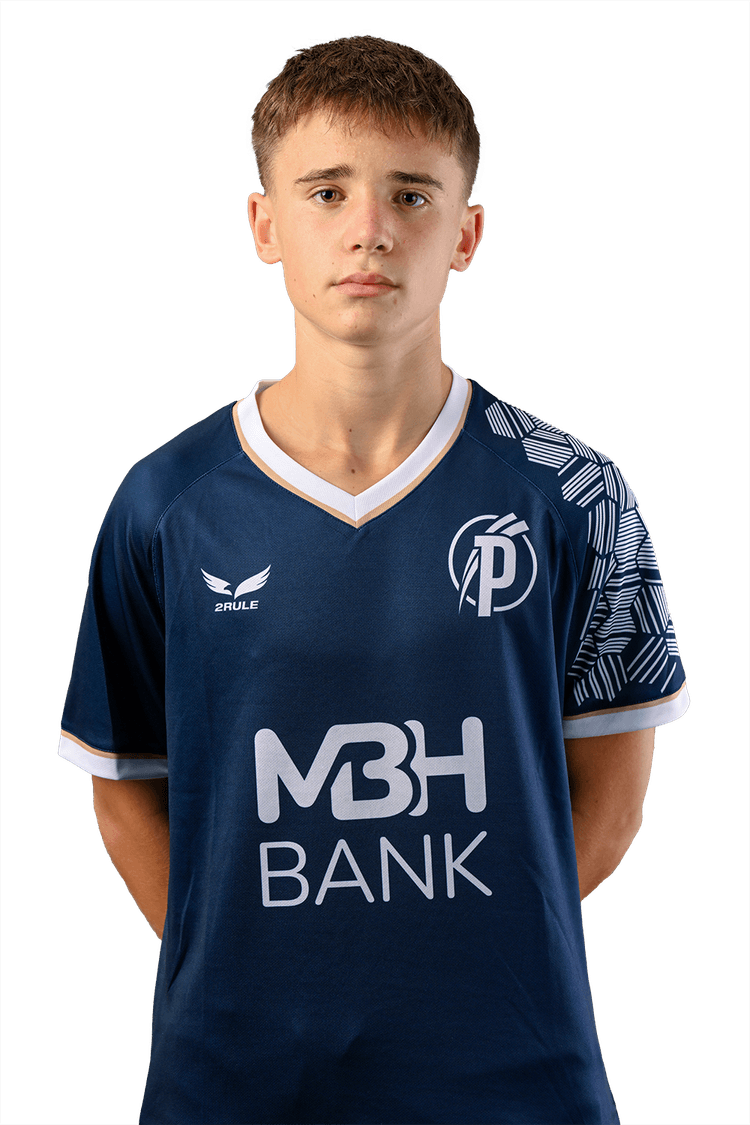 Image of Erdei Zsombor