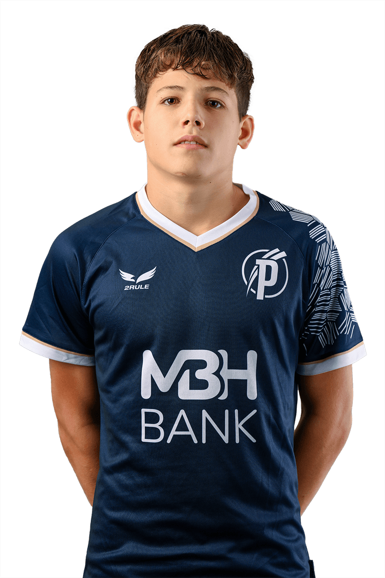 Image of Pálmai  Csanád