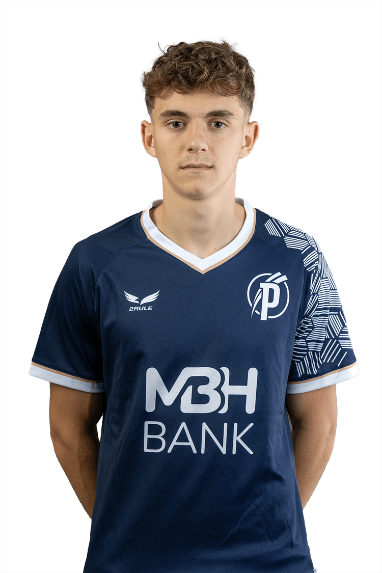 Image of Magyarics Erik