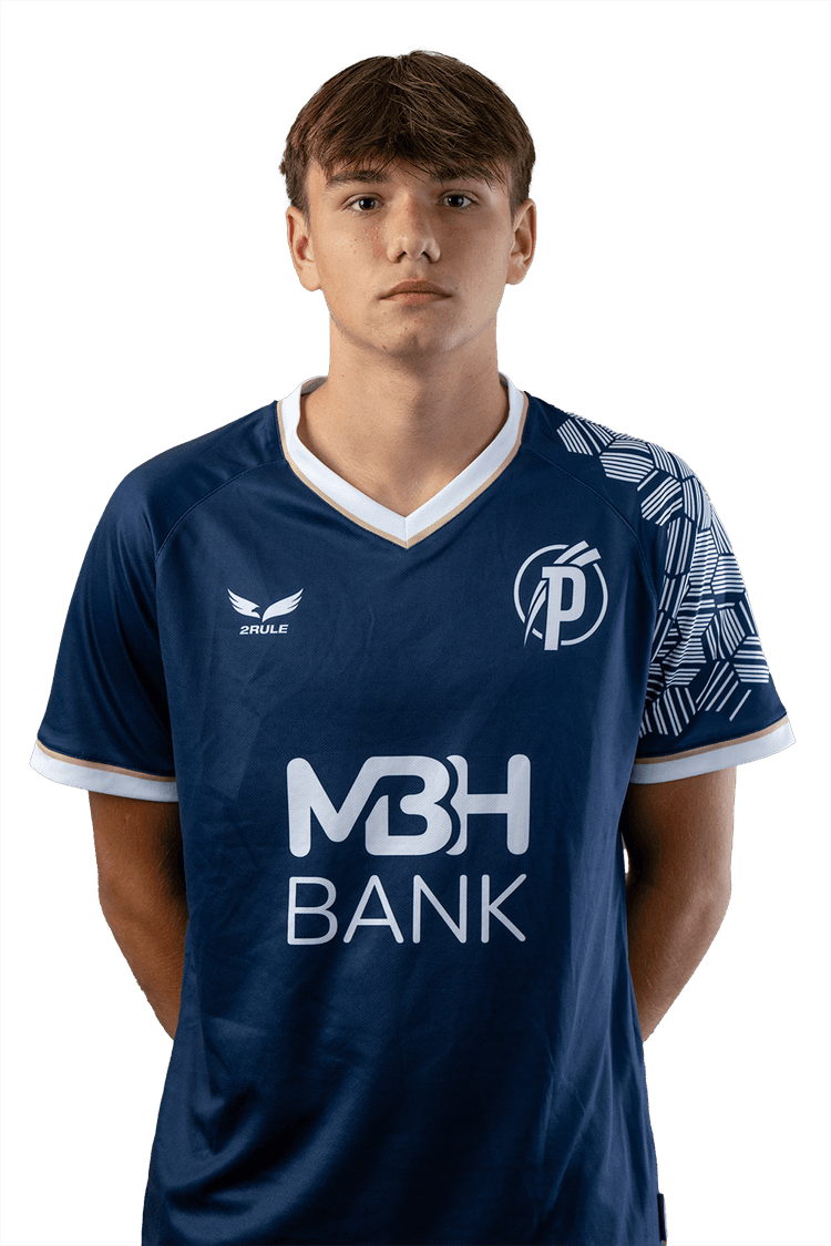 Image of Serbin Anton