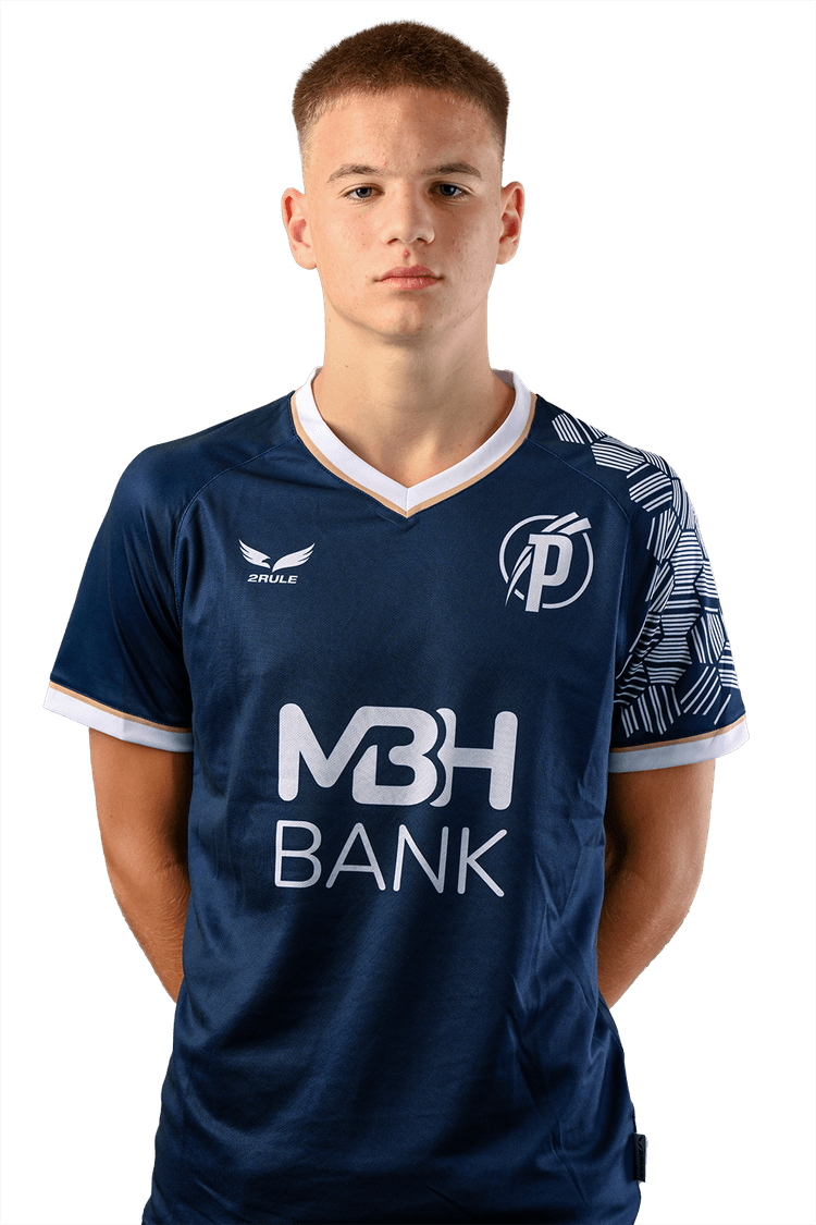 Image of Németh-Hám  Viktor